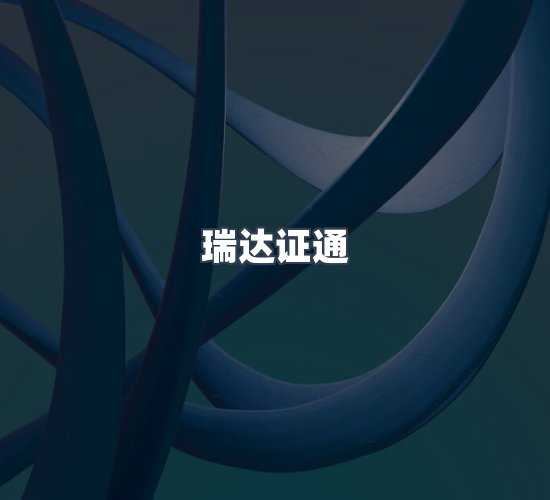 关于瑞达证通